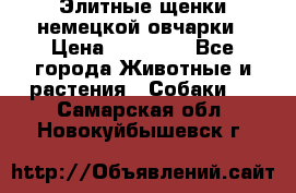 Элитные щенки немецкой овчарки › Цена ­ 30 000 - Все города Животные и растения » Собаки   . Самарская обл.,Новокуйбышевск г.